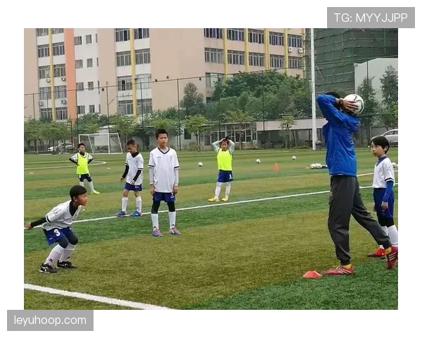 界外球规则解析：发球位置与违例判定标准
