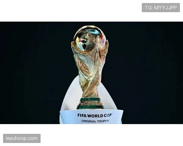 2026世界杯规则下席位怎么排